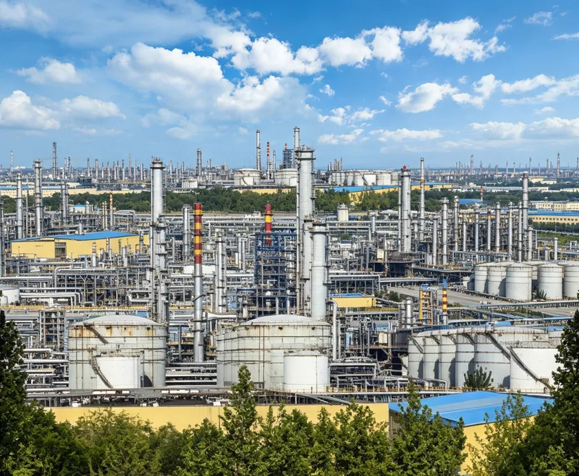 Chemical and Petrochemical Processing
